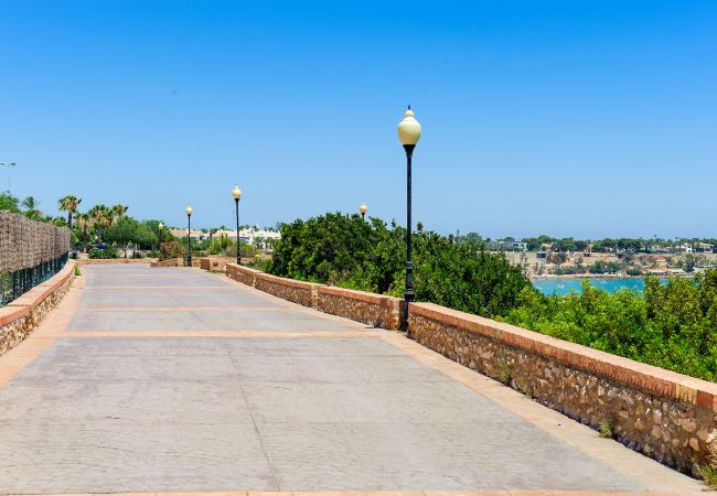Apartamento en Cabo Roig - Niagara