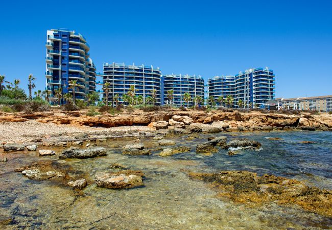 Apartamento en Torrevieja - Holiday