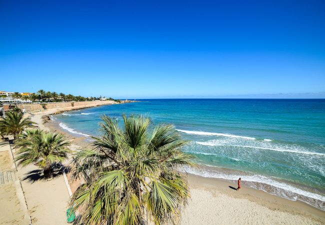 Apartamento en Torrevieja - Holiday