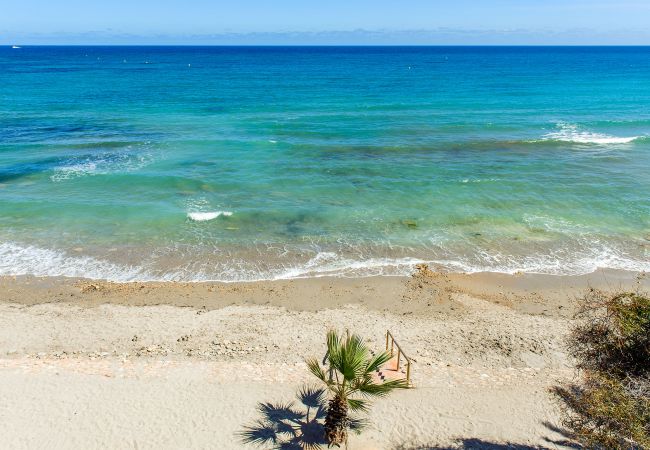 Apartamento en Torrevieja - Holiday