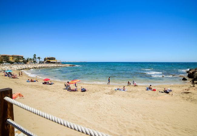 Apartamento en Torrevieja - Primavera