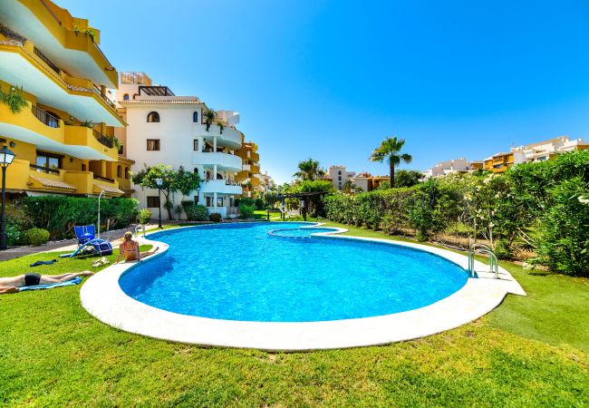 Apartamento en Torrevieja - Kenya