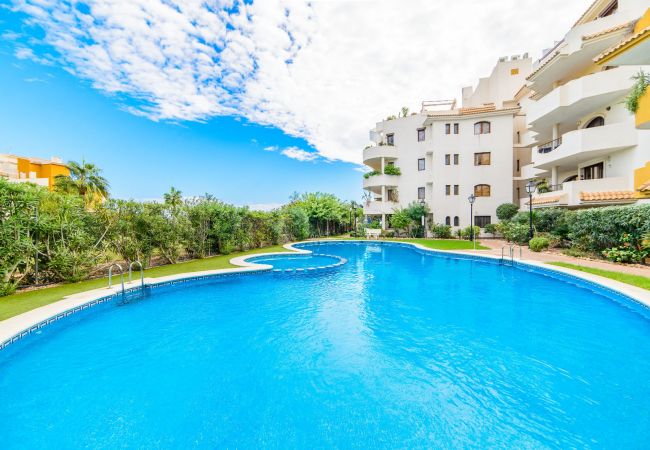 Apartamento en Torrevieja - Kenya