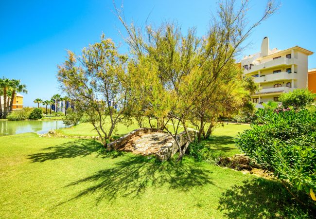 Apartamento en Torrevieja - Kenya