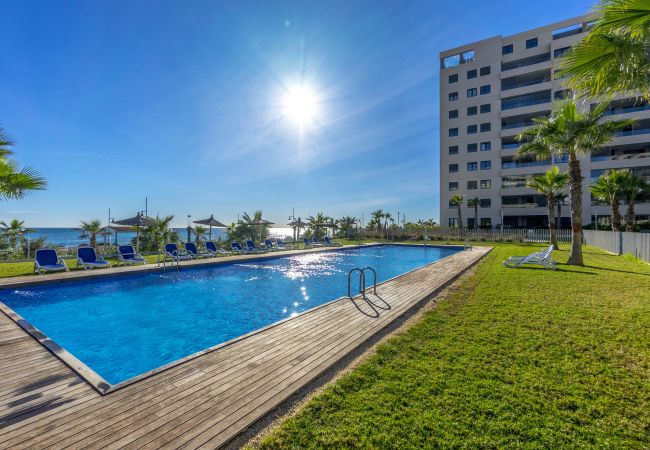 Apartamento en Torrevieja - Utopia
