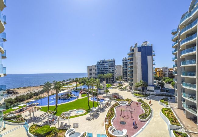 Apartamento en Torrevieja - Toledo