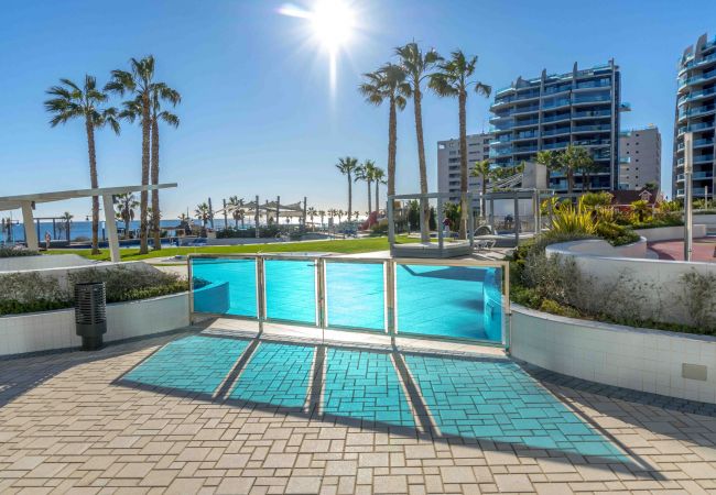 Apartamento en Torrevieja - Toledo