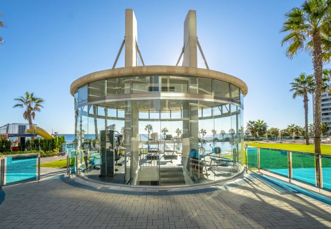 Apartamento en Torrevieja - Toledo