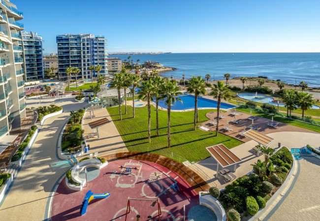 Apartamento en Torrevieja - Toledo