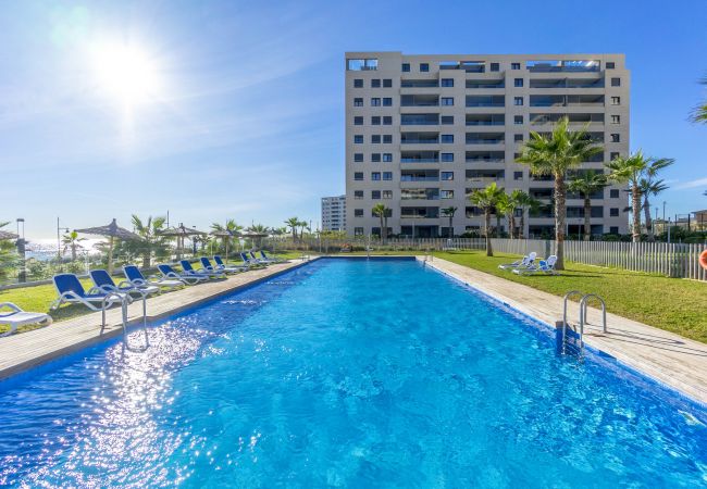 Apartamento en Torrevieja - Altamira