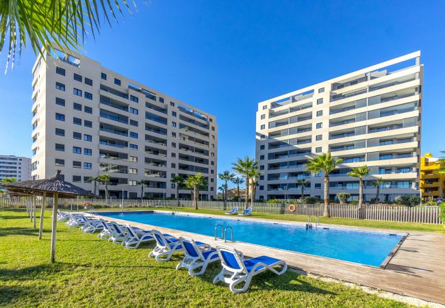 Apartamento en Torrevieja - Altamira