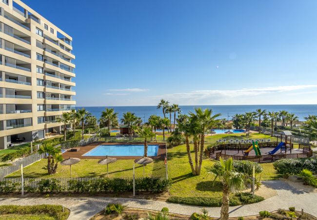 Apartamento en Torrevieja - Montblanc