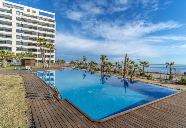 Apartamento en Torrevieja - Montblanc